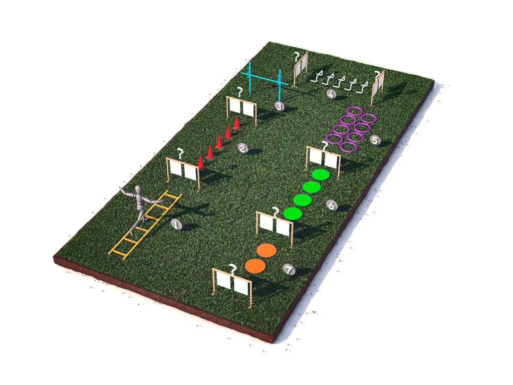 Radiate Happy Living Circuit