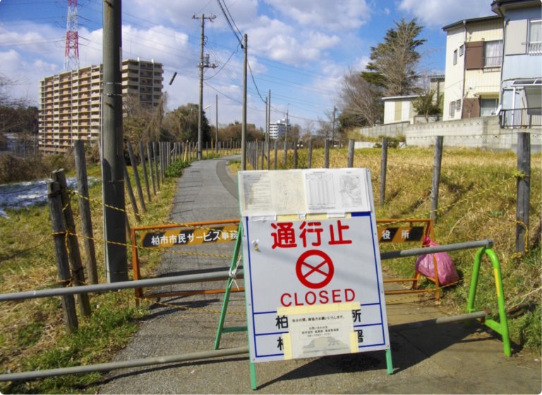 Nutrition for Radiation