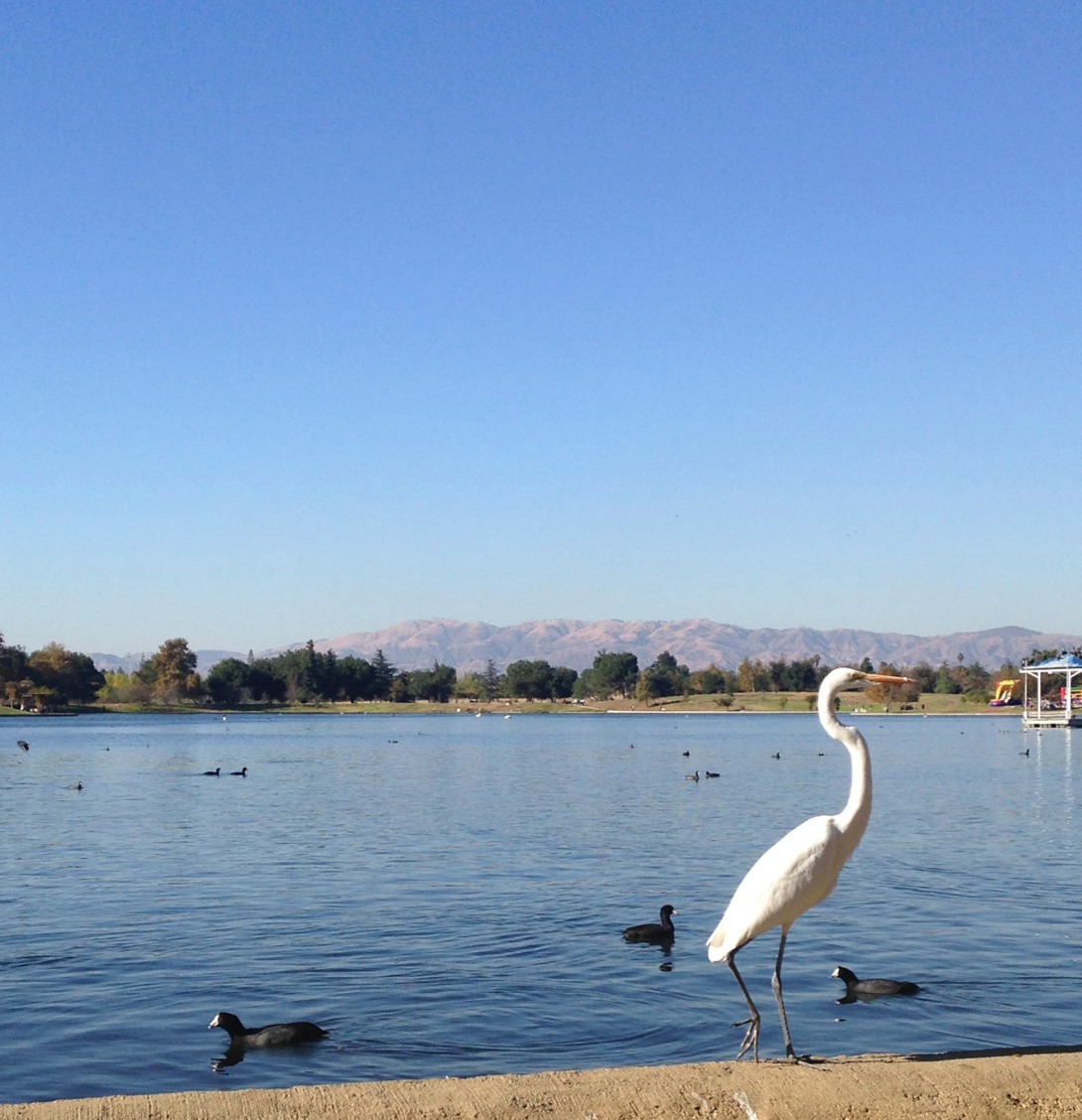 201405_Keep_On_Moving_Balboa Park