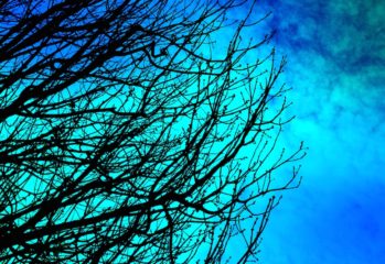 It All Begins With Your Nervous System by Dr. Giancarlo Licata