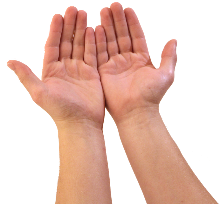 Your Health in Your Hands