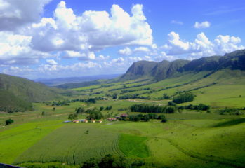 Cheese from Serra da Canastra