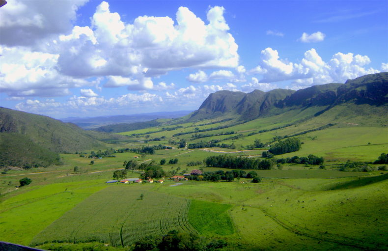 Cheese from Serra da Canastra