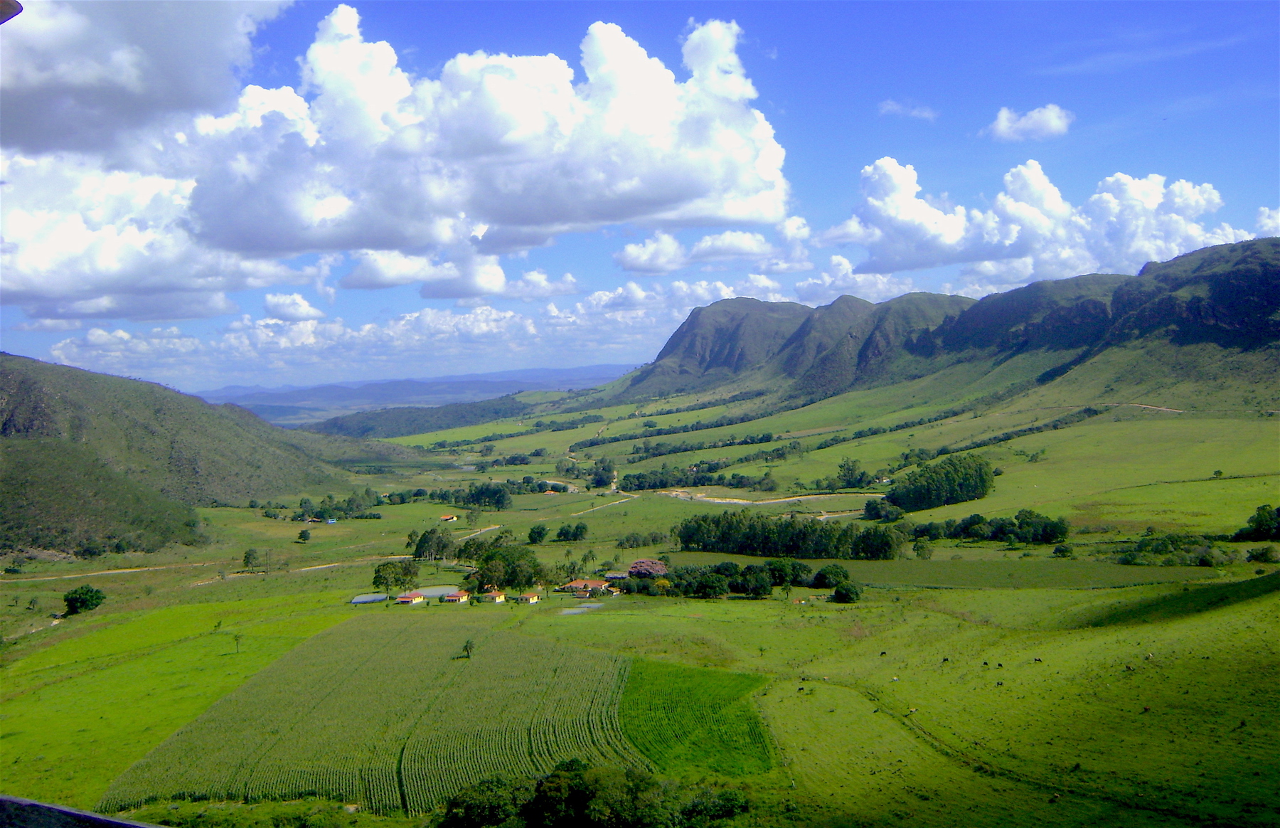 Cheese from Serra da Canastra