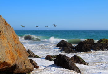 Vitamin D from the Sun