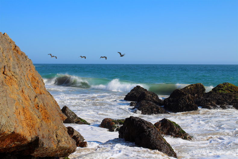 Vitamin D from the Sun