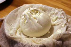 Artisan Cheese Ready