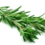 Rosemary